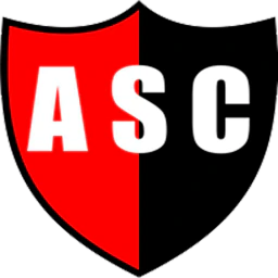 Andino Sport Club